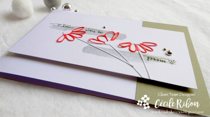 Carte FMS397 - P1070310