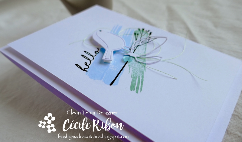 Carte FMS398 - P1070600