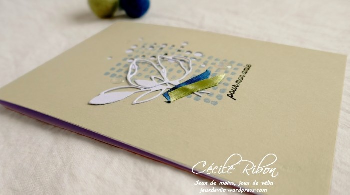 Carte MAnnie - P1070377