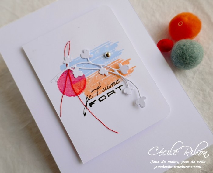 Carte CBBB16 - P1070587