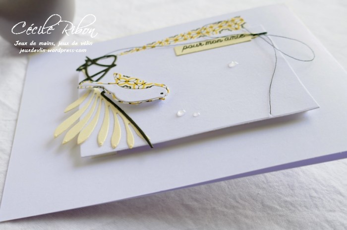 Carte CBBB17 - P1080158