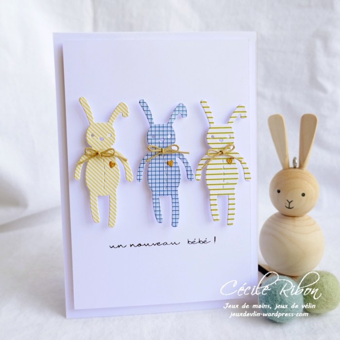 Carte CTD556 - P1080017