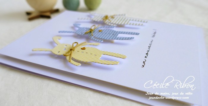 Carte CTD556 - P1080018