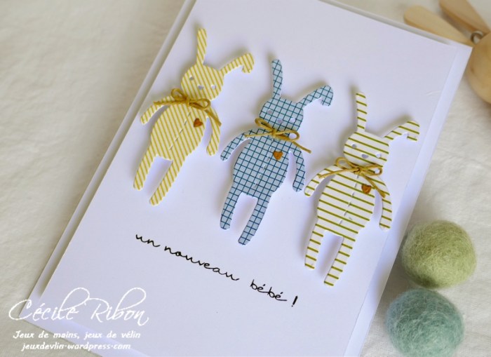 Carte CTD556 - P1080033