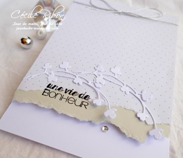 Carte CTS335 - P1080121