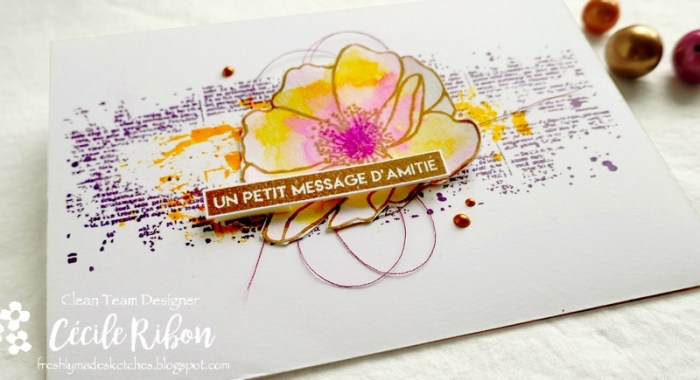 Carte FMS400#4 - P1080219