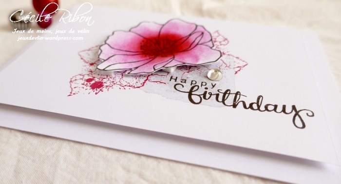 Carte JUGS501 - P1080134