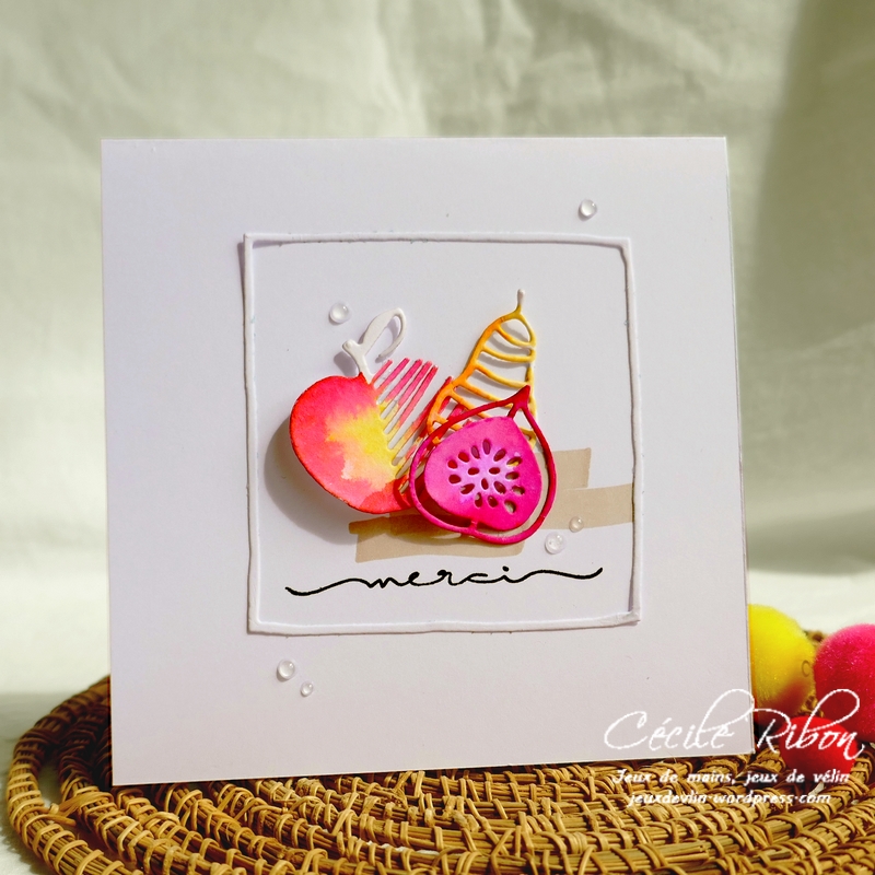 Carte Maniak205 - P1070895