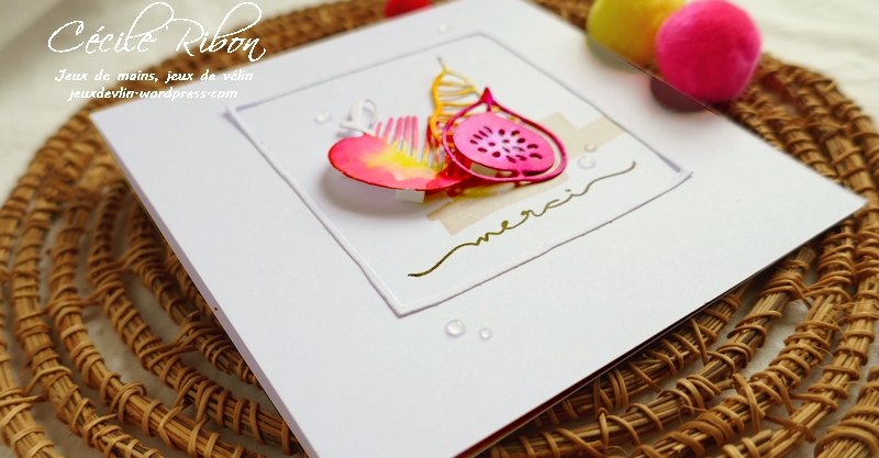 Carte Maniak205 - P1070903