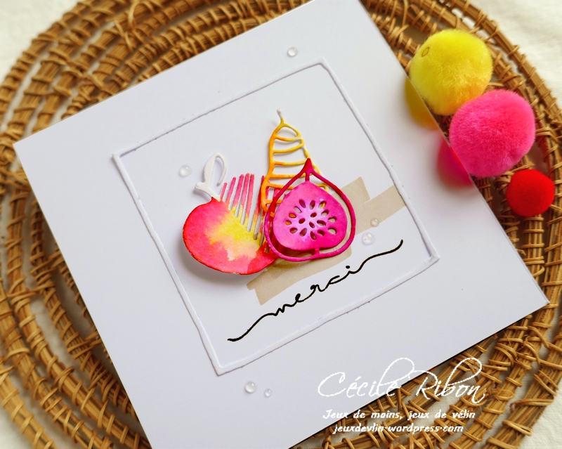 Carte Maniak205 - P1070912