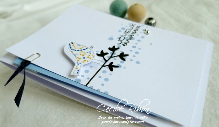 Carte Thierry - P1070684