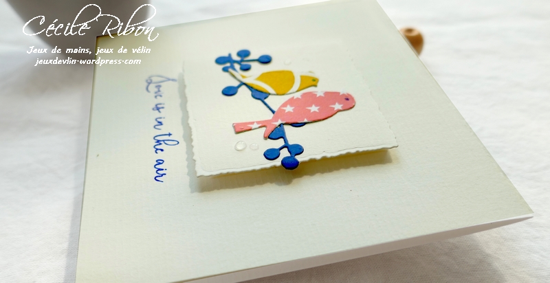 Carte CTD559#1 - P1080617