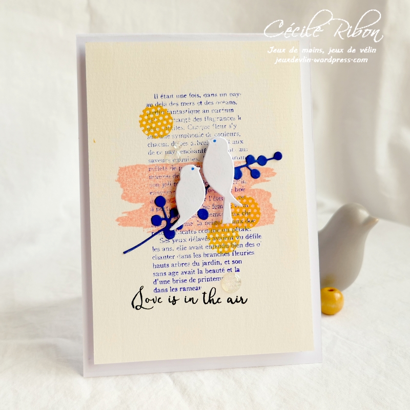 Carte CTD559#2 - P1080633