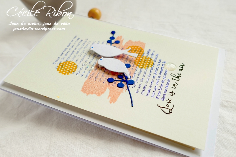 Carte CTD559#2 - P1080636