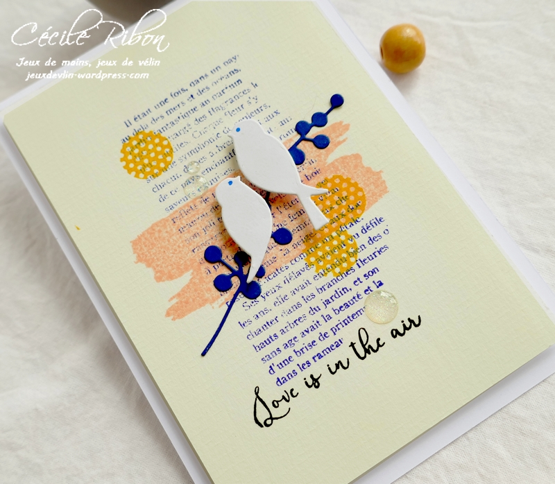 Carte CTD559#2 - P1080645