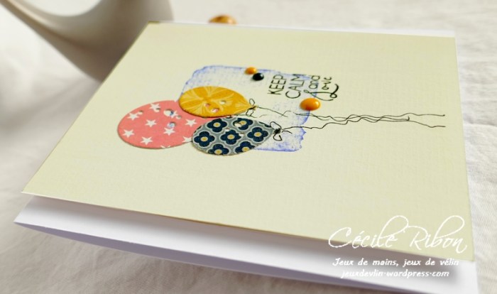 Carte CTD559#4 - P1080681