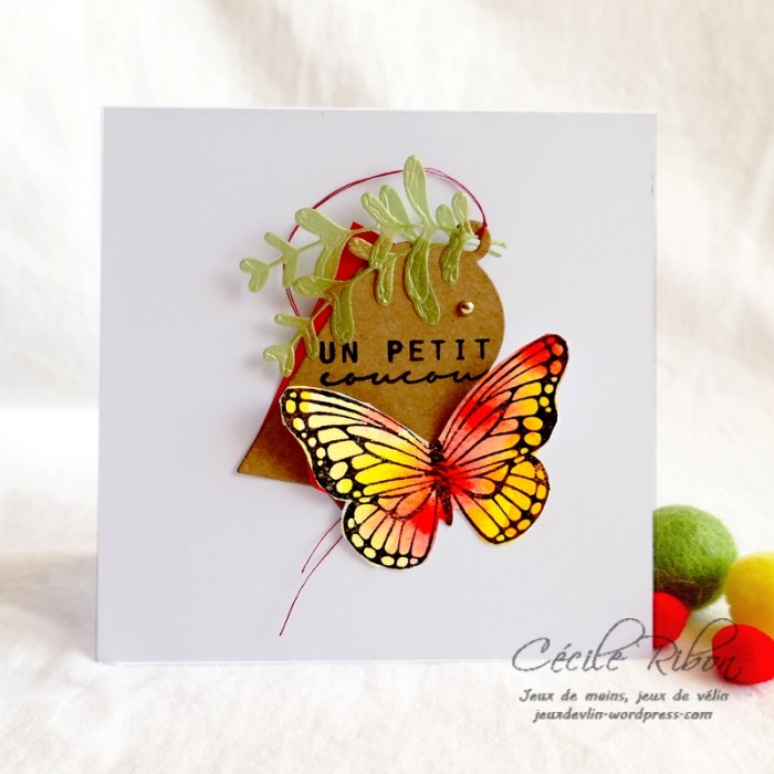 Carte CTD560 - P1080852