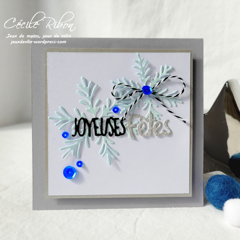 Carte CTD562 - P1090195