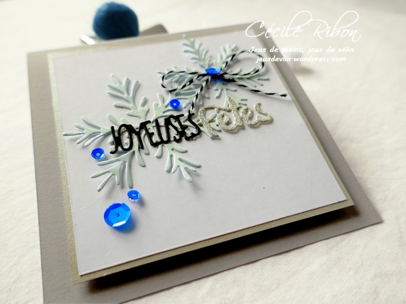 Carte CTD562 - P1090207