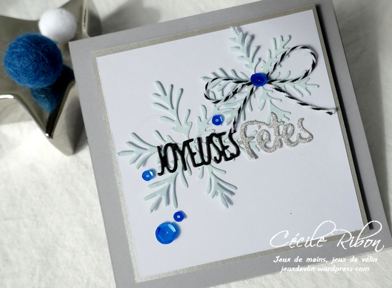 Carte CTD562 - P1090210