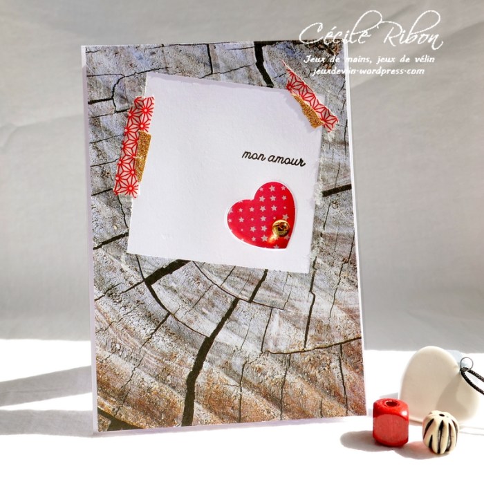 Carte CTS339 - P1080877