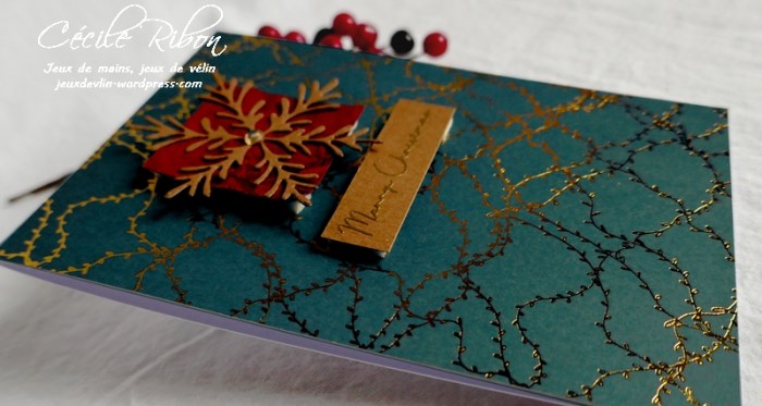 Carte CTS340 - P1090098