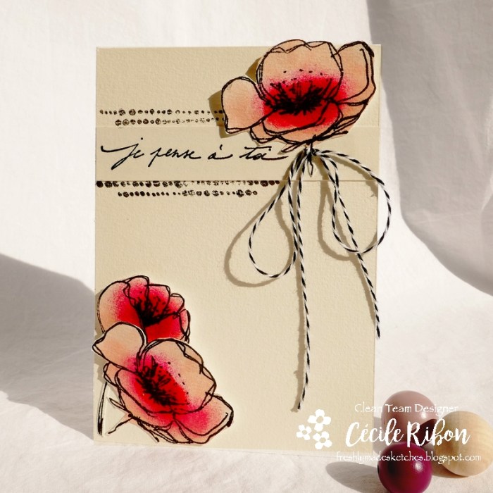 Carte FMS402 - P1080753