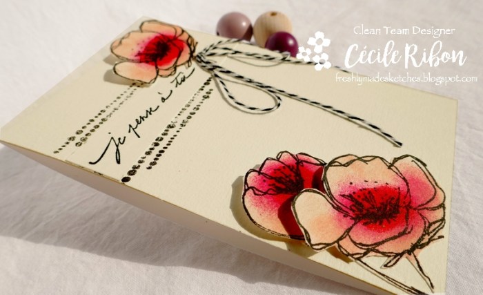 Carte FMS402 - P1080758