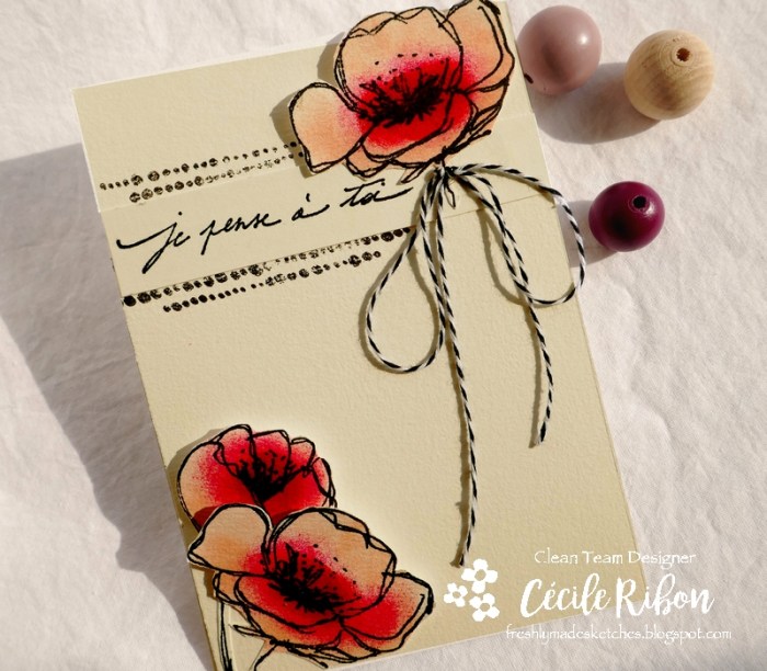 Carte FMS402 - P1080768