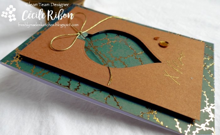 Carte FMS404 - P1090081