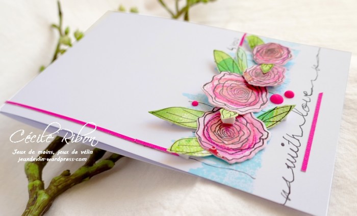 Carte FUSION53 - P1080564