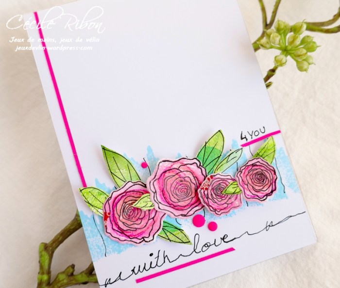 Carte FUSION53 - P1080573