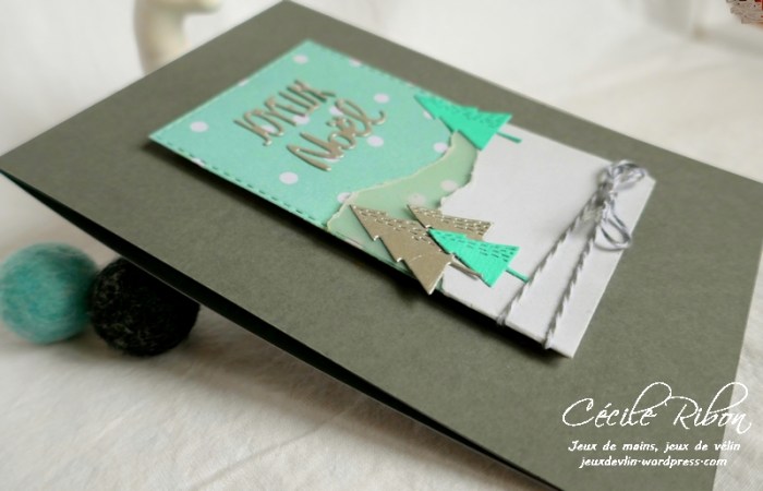 Carte JUGS506 - P1090058