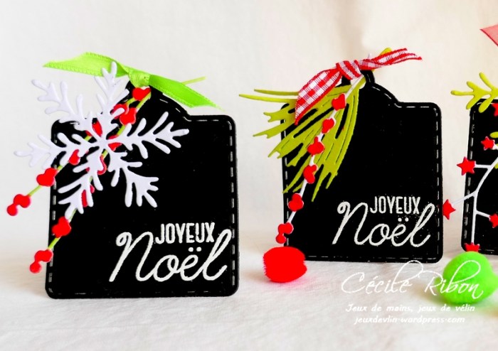 Carte Maniak208(a) - P1080949