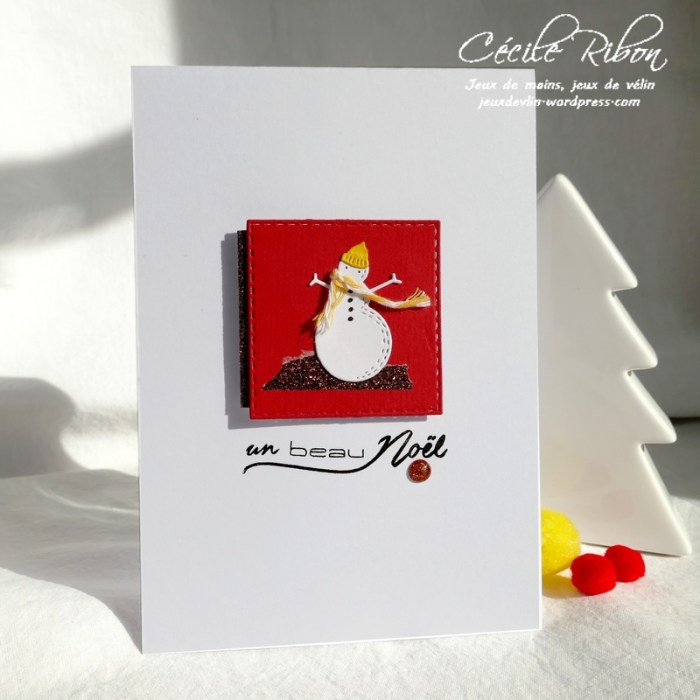 Carte CTD564 - P1090645