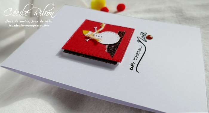 Carte CTD564 - P1090662