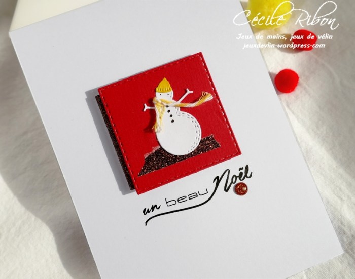 Carte CTD564 - P1090673