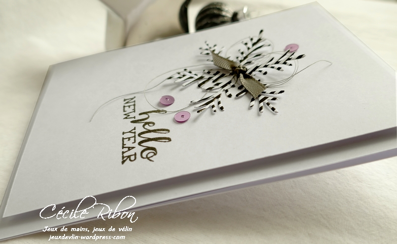 Carte CTD565 - P1090879