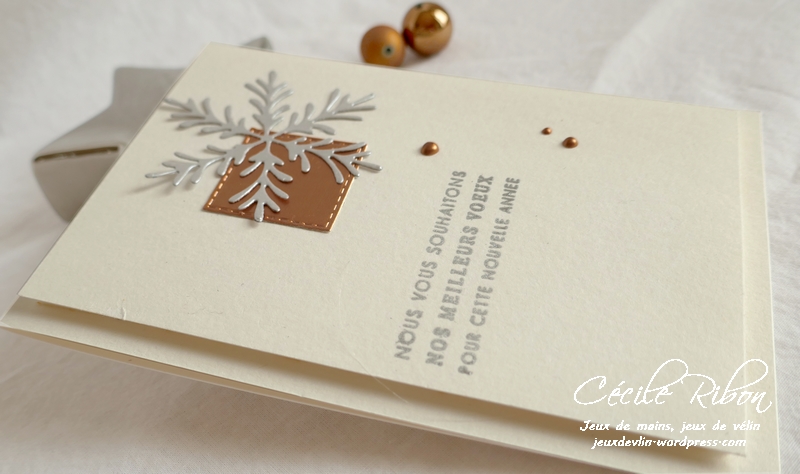 Carte CTD566 - P1100232