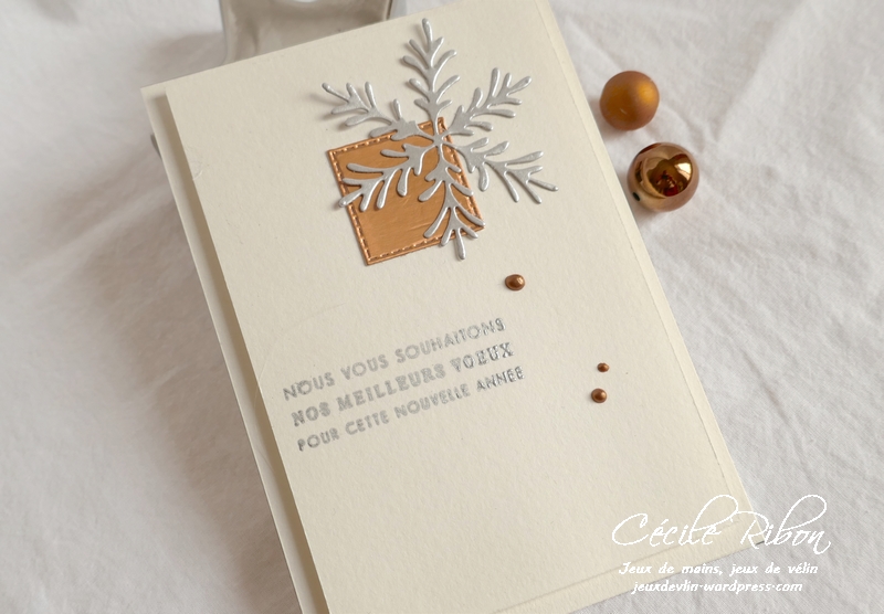 Carte CTD566 - P1100242