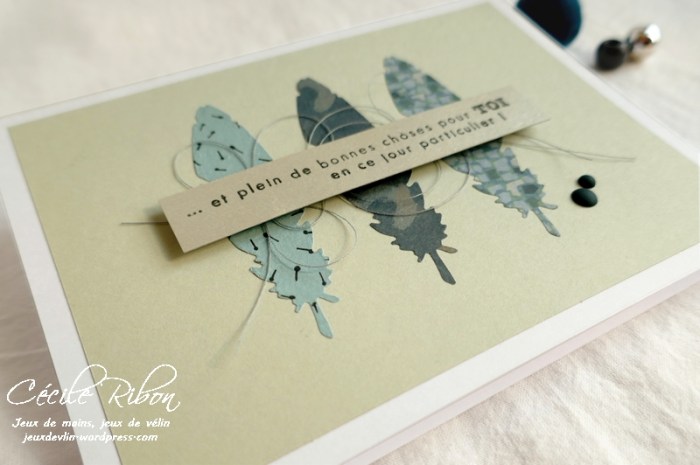 Carte CTS343 - P1090707