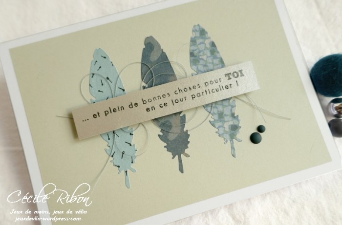 Carte CTS343 - P1090712