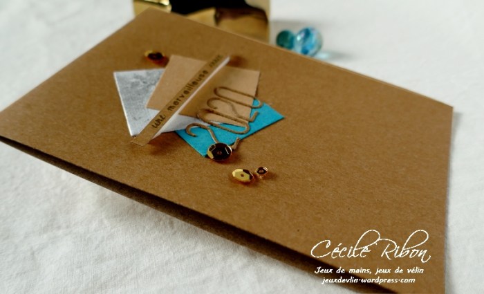 Carte CTS344 - P1100120