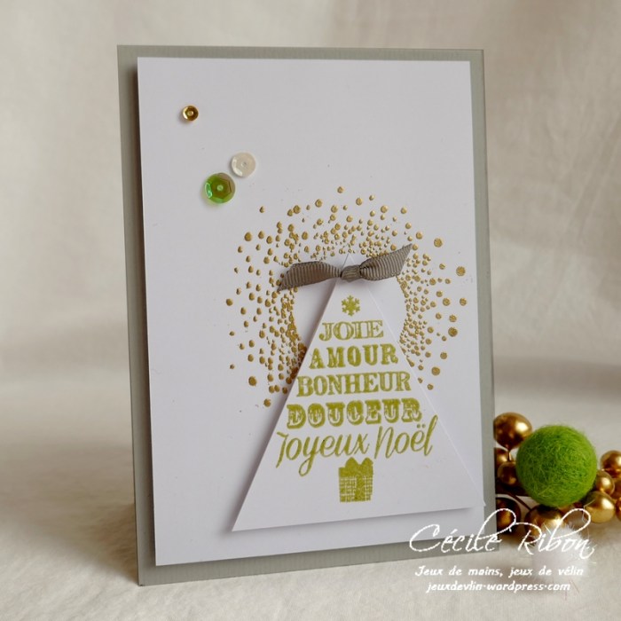 Carte CTS345#2 - P1100286