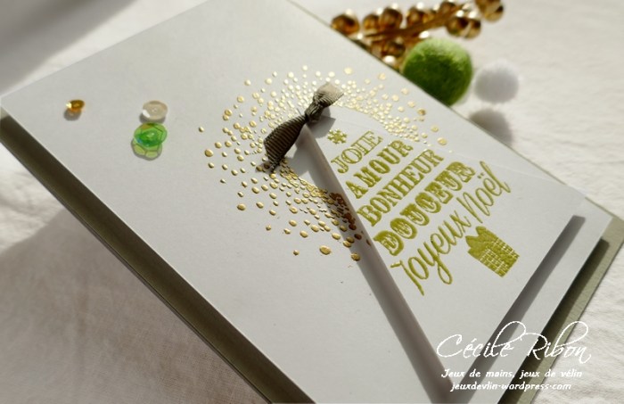 Carte CTS345#2 - P1100321