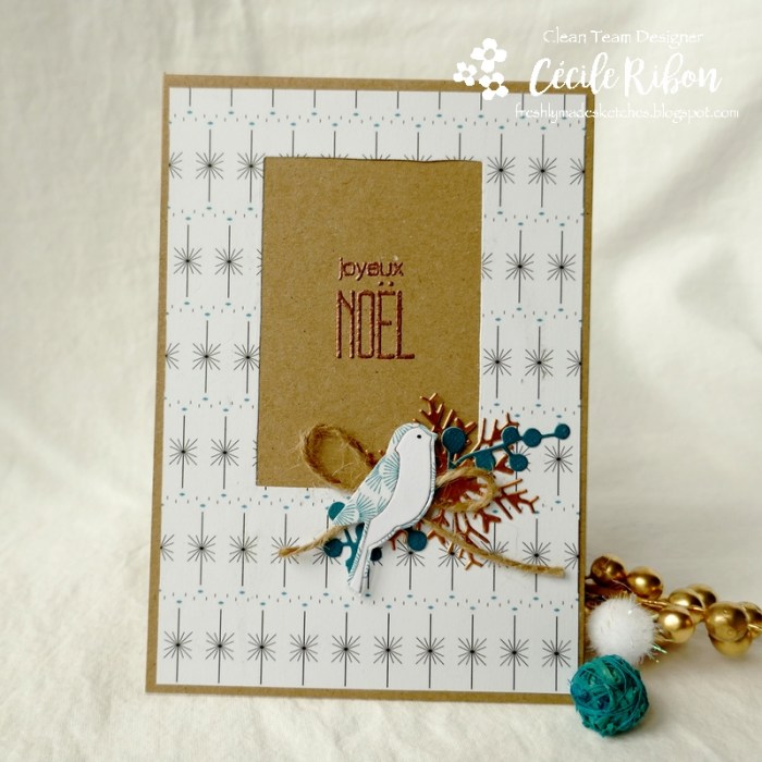 Carte FMS406 - P1090525