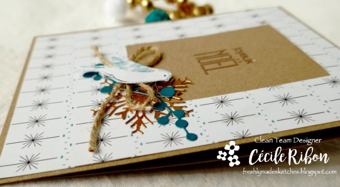 Carte FMS406 - P1090532