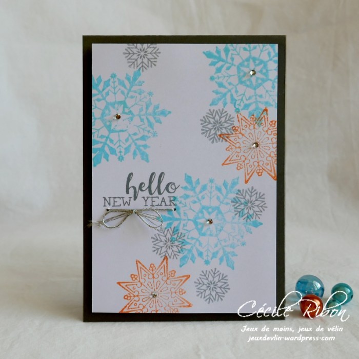 Carte CTD570 - P1110298