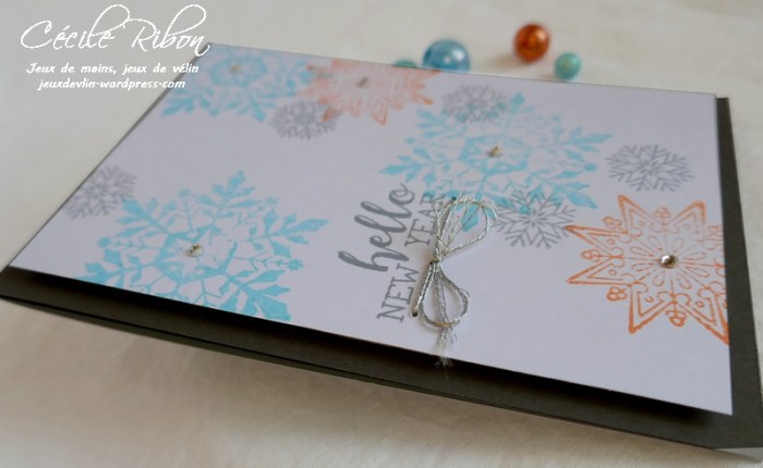 Carte CTD570 - P1110307