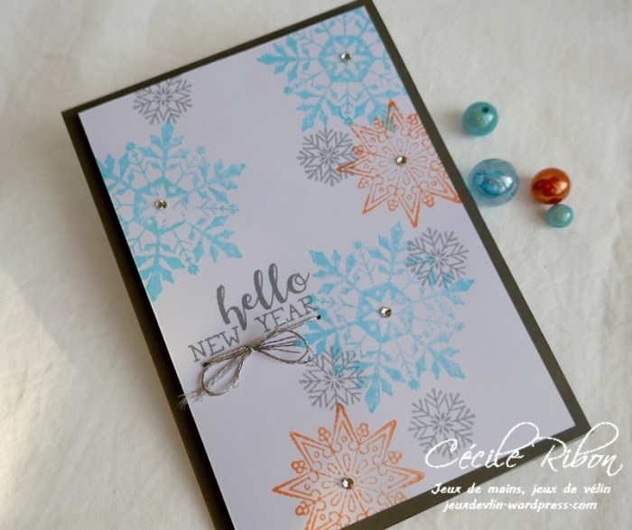 Carte CTD570 - P1110319